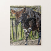Okapi bij de zoo-puzzel legpuzzel (Verticaal)
