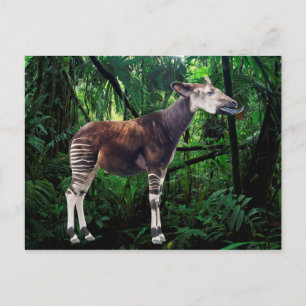 Okapi Briefkaart