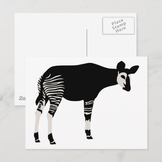 Okapi Briefkaart (Voorkant / Achterkant)