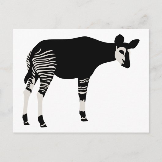 Okapi Briefkaart (Voorkant)