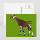 Okapi Briefkaart (Voorkant / Achterkant)