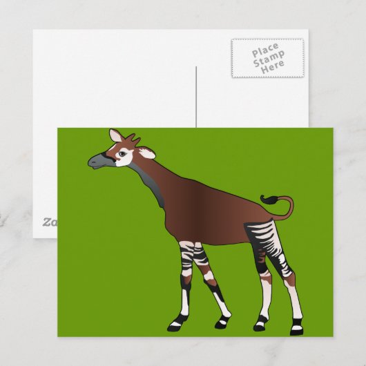 Okapi Briefkaart (Voorkant / Achterkant)