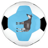 Okapi cartoon illustratie voetbal (Gedraaid)