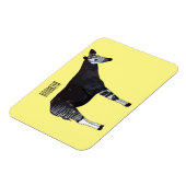 Okapi cartoonillustratie magneet (Linkerzijde)