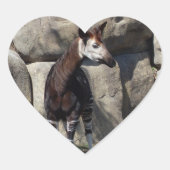 OKAPI HART STICKER (Voorkant)