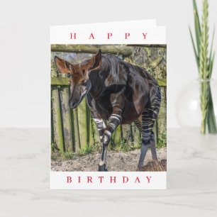 Okapi in de dierentuin verjaardagskaart kaart