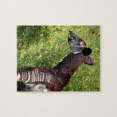 Okapi in de vegetatie legpuzzel (Horizontaal)