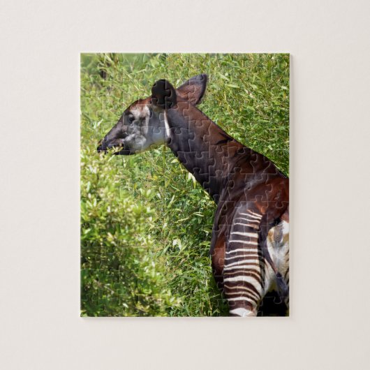 Okapi in de vegetatie legpuzzel (Verticaal)