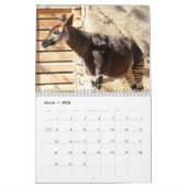 Okapi Kalender (Mar 2026)