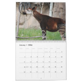 Okapi Kalender (Jan 2026)
