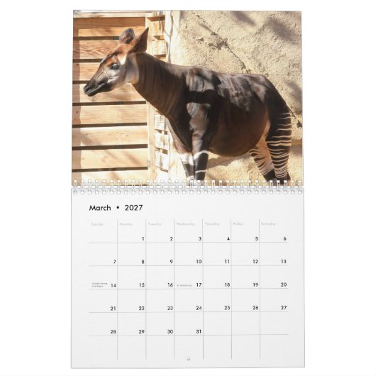 Okapi Kalender (Mar 2027)
