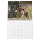 Okapi Kalender (Feb 2027)