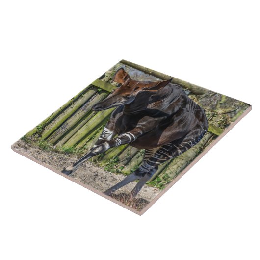 Okapi-keramische tegel tegeltje (Zijkant)