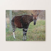 Okapi Legpuzzel (Horizontaal)