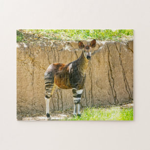 Okapi Legpuzzel