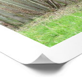 Okapi met een hek poster (Hoek)