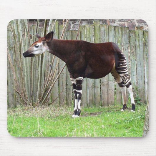 Okapi met hek muismat (Voorkant)