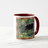 Okapi-Mok Mok (Voorkant rechts)