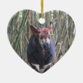 Okapi Ornament (Voorkant)