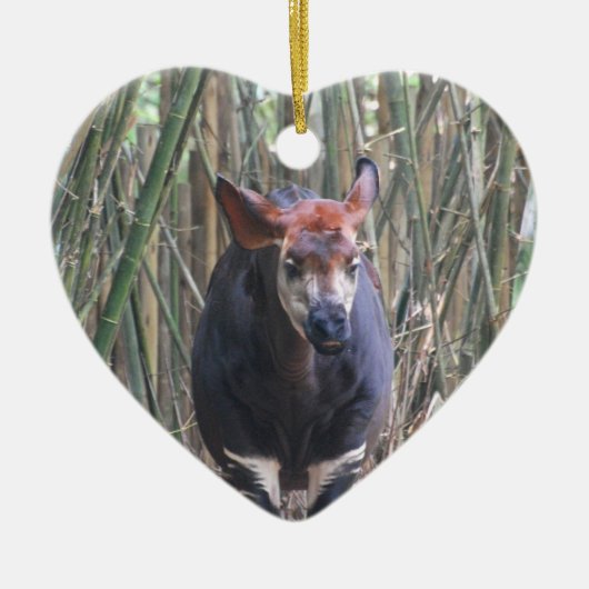 Okapi Ornament (Voorkant)