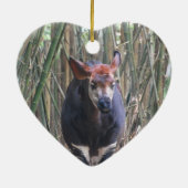 Okapi Ornament (Achterkant)