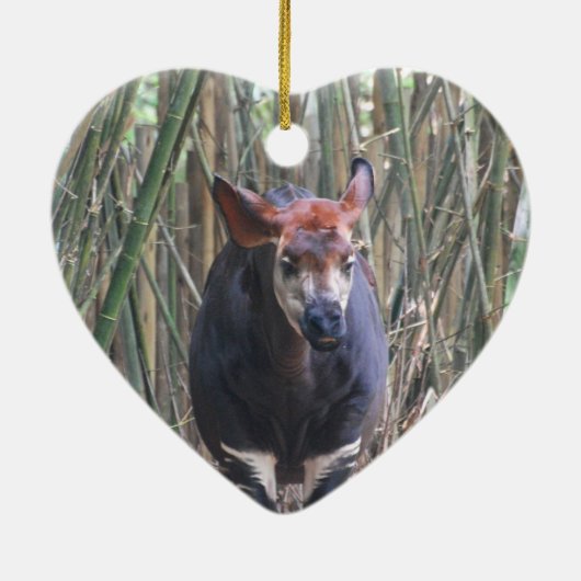 Okapi Ornament (Achterkant)