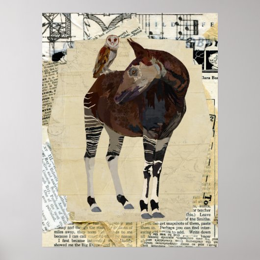 OKAPI & OWL Art Poster (Voorkant)