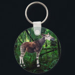 Okapi Sleutelhanger<br><div class="desc">De Okapi - een waarlijk gevonden cryptid! 20% van alle opbrengsten gaat naar het helpen van dieren!</div>