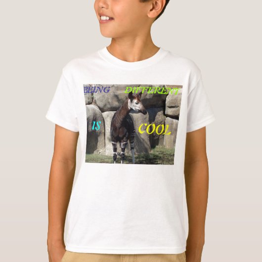 OKAPI T-SHIRT (Voorkant)