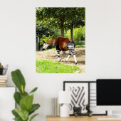 Okapi weglopend poster (Thuiskantoor)
