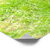 Okapi weglopend poster (Hoek)