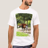 Okapi weglopend t-shirt (Voorkant)