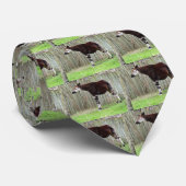 Okapis Stropdas (Opgerold)