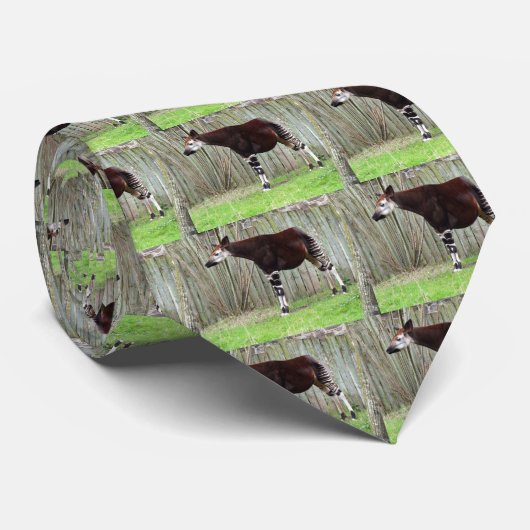 Okapis Stropdas (Opgerold)