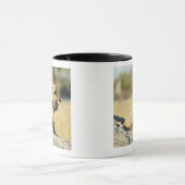 Okavango Delta, Botswana 2 Mok (Midden)