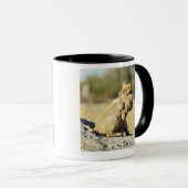 Okavango Delta, Botswana 2 Mok (Voorkant rechts)