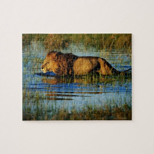 Okavango Delta, Botswana 3 Legpuzzel (Horizontaal)