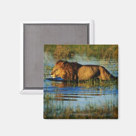 Okavango Delta, Botswana 3 Magneet (Voorkant / Achterkant)