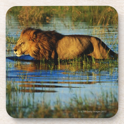 Okavango Delta, Botswana 3 Onderzetter (Voorkant)