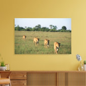 Okavango Delta, Botswana 4 Canvas Afdruk (Insitu (Woonkamer))