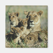 Okavango Delta, Botswana Magneet (Voorkant)