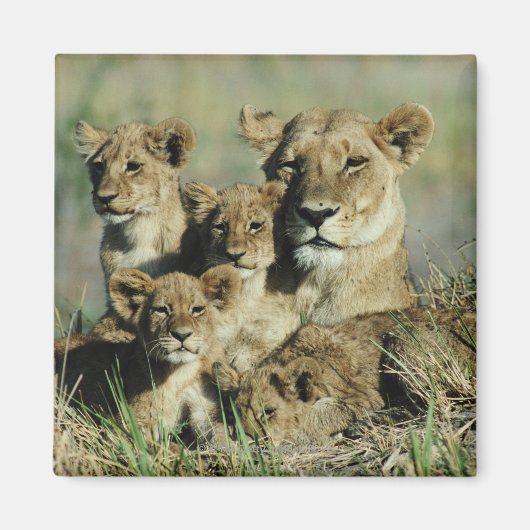 Okavango Delta, Botswana Magneet (Voorkant)