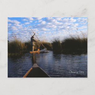 Okavango Delta Briefkaart