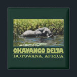 Okavango Delta Magneet<br><div class="desc">Okavango Delta,  Botswana</div>
