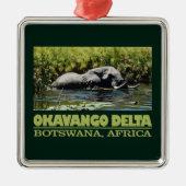 Okavango Delta Metalen Ornament (Voorkant)