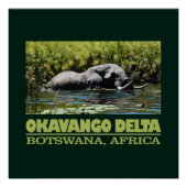 Okavango Delta Perfect Poster (Voorkant)