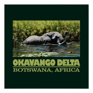 Okavango Delta Perfect Poster