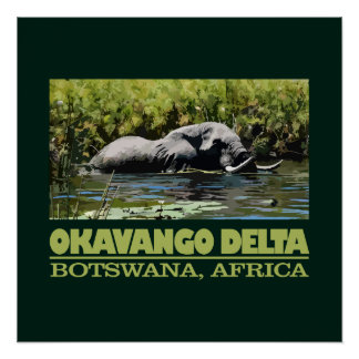 Okavango Delta Perfect Poster