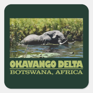 Okavango Delta Vierkante Sticker