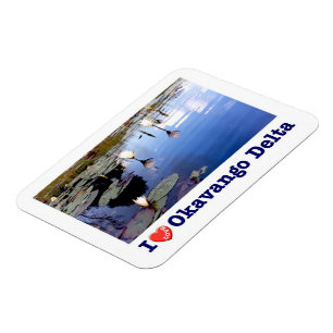 Okavango Water Lillies - Magnet Magneet